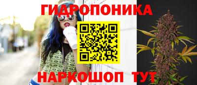 ешки Анапа