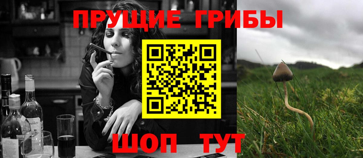 Псилоцибиновые грибы мицелий  закладка  Бахчисарай  Вход с VPN 