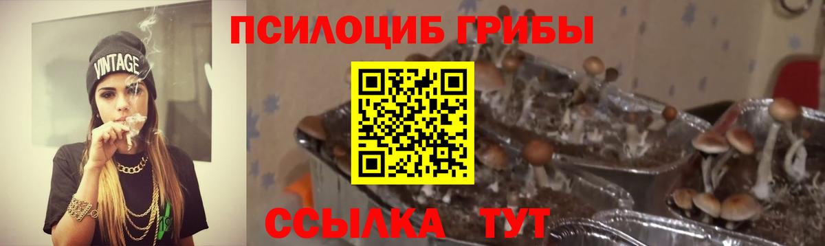 Псилоцибиновые грибы прущие грибы Бахчисарай